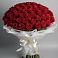 Букет 101 Красная роза Блэк Мэджик в Званном