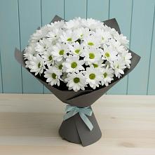 Букет цветов из:  Хризантемы в Званном
