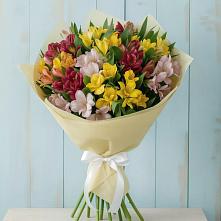 Букет цветов из:  Альстромерии в Званном
