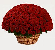 Премиум букет из: Розы #REPLACE_PRED# Званном